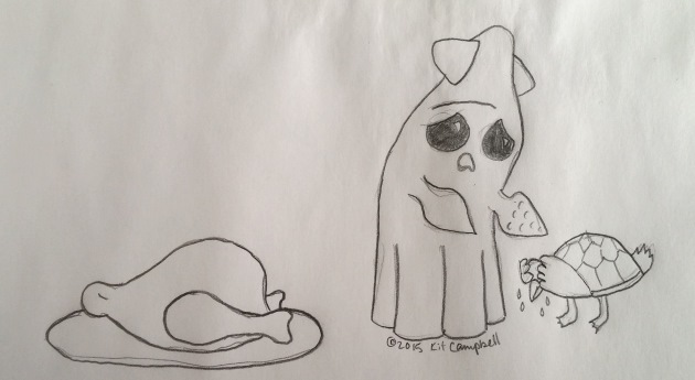 Poor Turtleduck