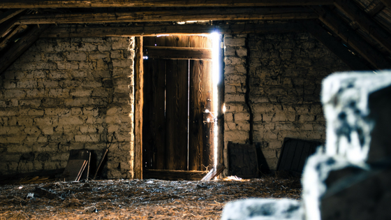 image of sunlit door